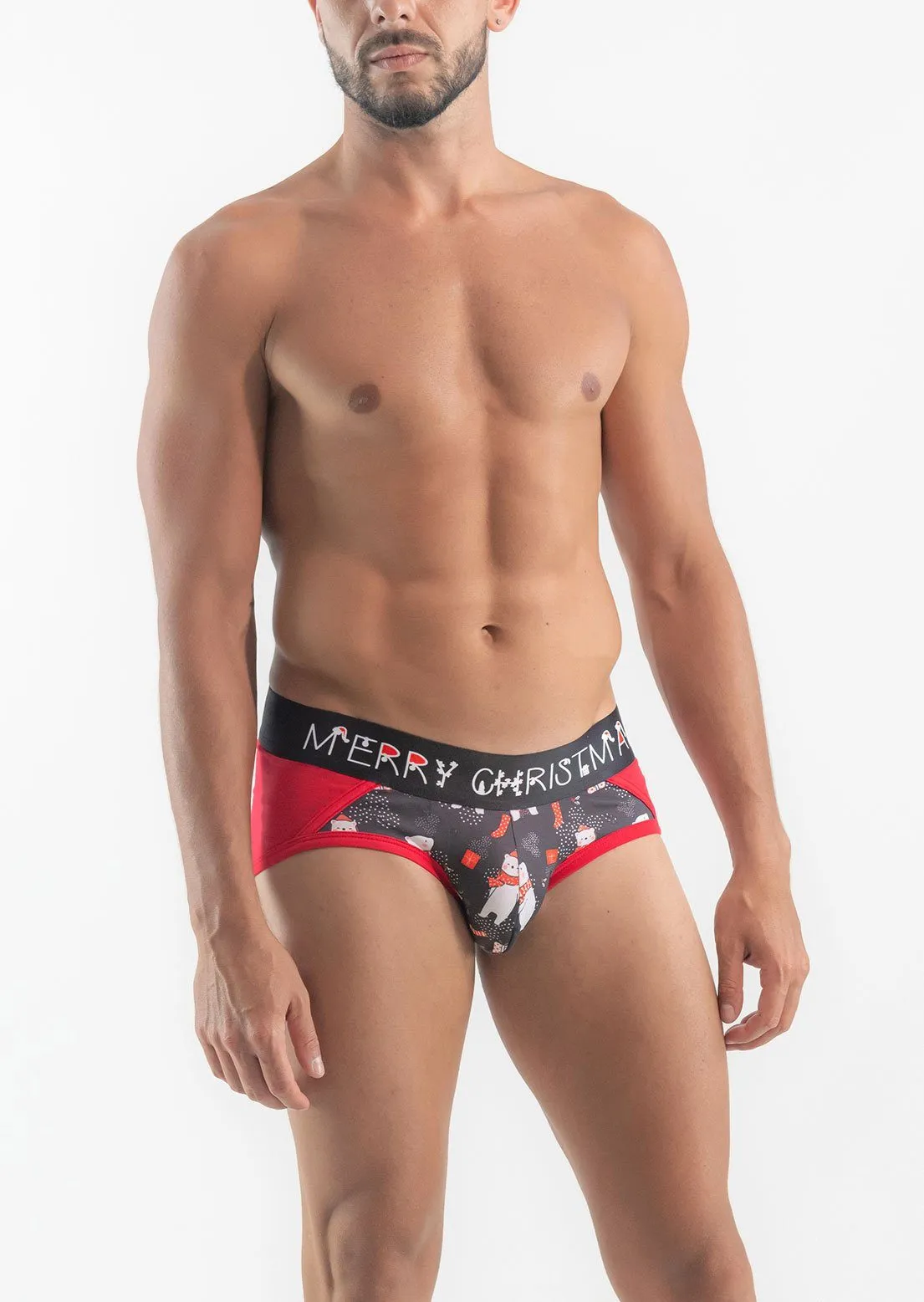 CHRISTMAS BRIEFS 19xms03s4