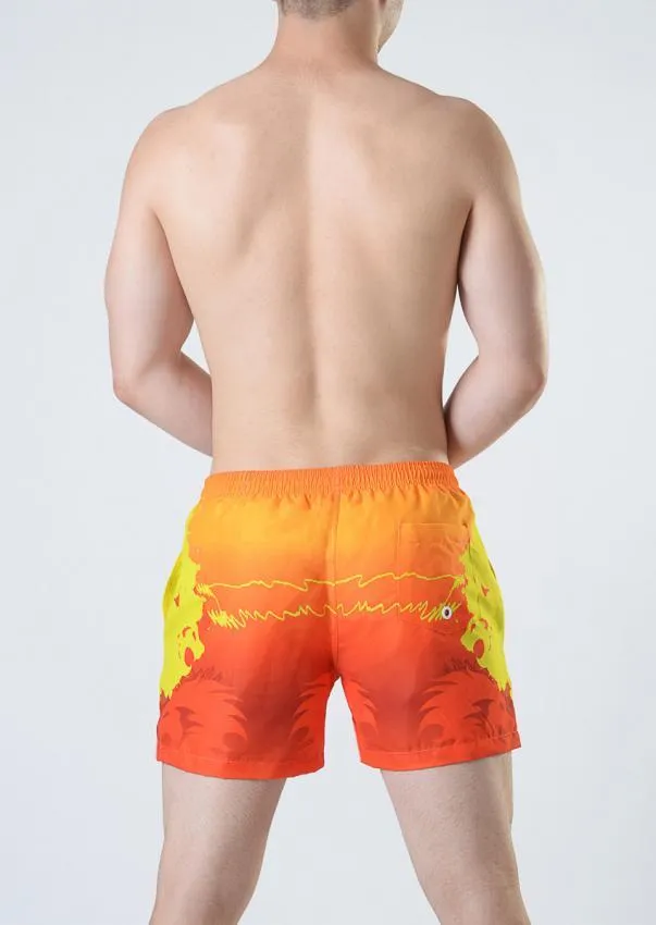 Men Swimming Shorts 1815p1