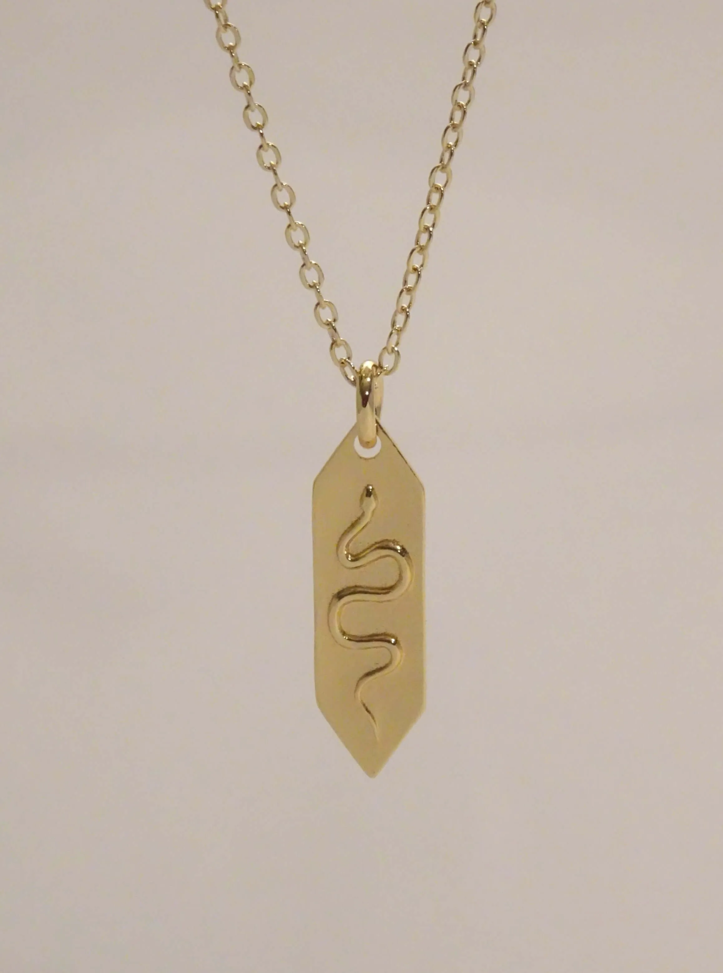 The Snake Pendant Necklace